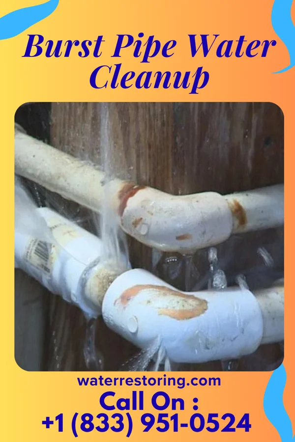 Burst Pipe Water Cleanup in Stephen, MN
