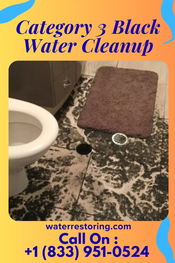 Category 3 Black Water Cleanup in Stephen, MN