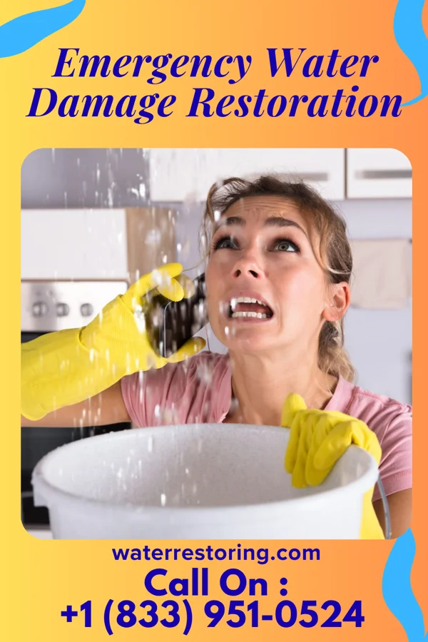 Emergency Water Damage Restoration in Stephen, MN