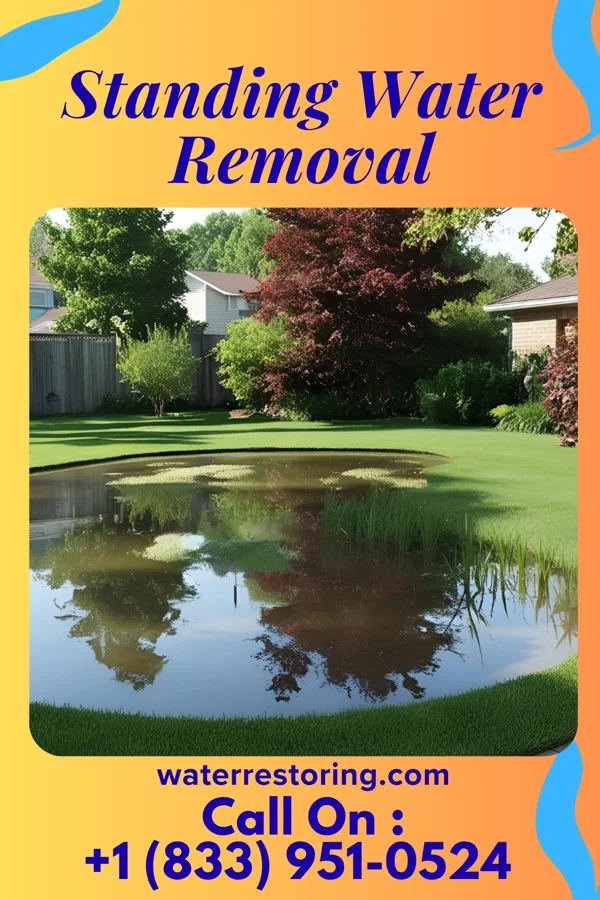 Standing Water Removal in Stephen, MN